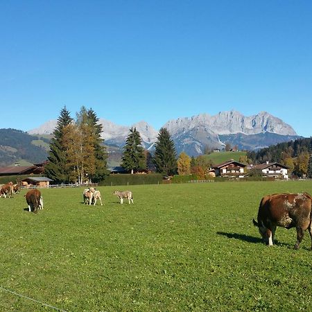 Haus Aschenwald Villa Kitzbühel Eksteriør bilde